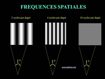 http://www.gatinel.com/wp-content/uploads/2011/10/fr%C3%A9quences-spatiales.jpg